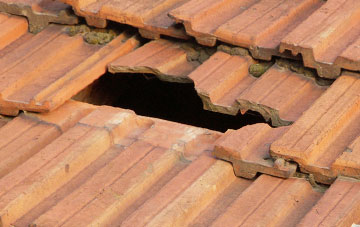 roof repair Burley Lawn, Hampshire